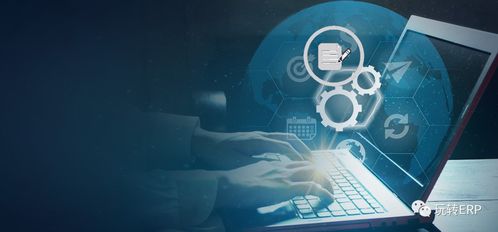 玩轉(zhuǎn)erp 如果要做一個(gè)開(kāi)發(fā)顧問(wèn)